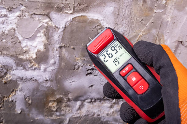 Best Mold Damage Repair  in Cade, LA