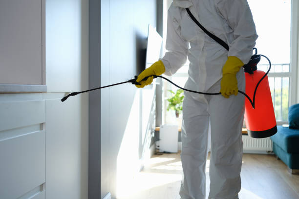 Best Mold Removal Specialists  in Cade, LA