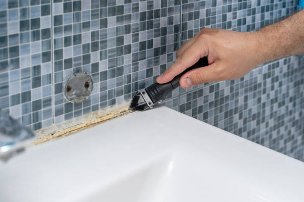 Best Home Mold Removal  in Cade, LA