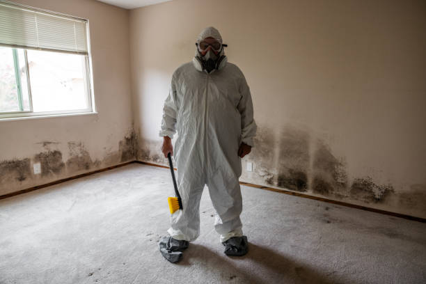 Best Commercial Mold Removal  in Cade, LA