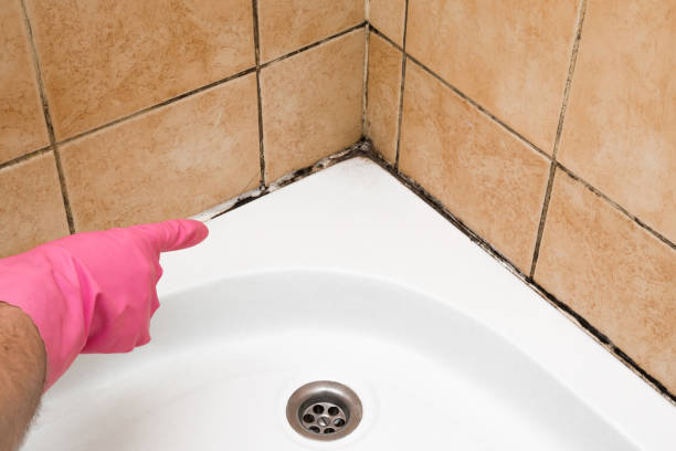 Best Attic Mold Removal  in Cade, LA